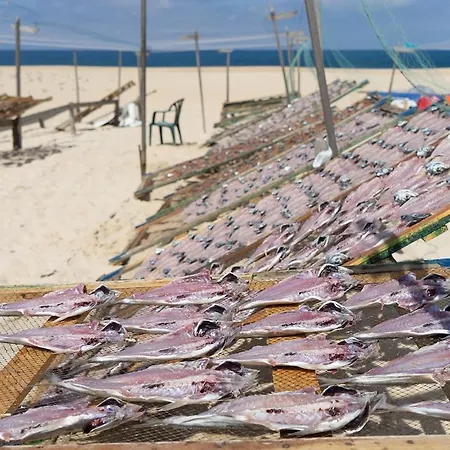 Casa De Betty Διαμέρισμα Ναζαρέ